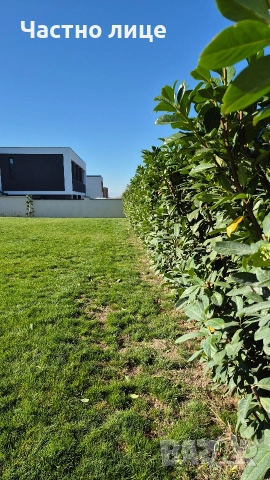 Градинарски услуги, снимка 9 - Градинска техника - 26109139