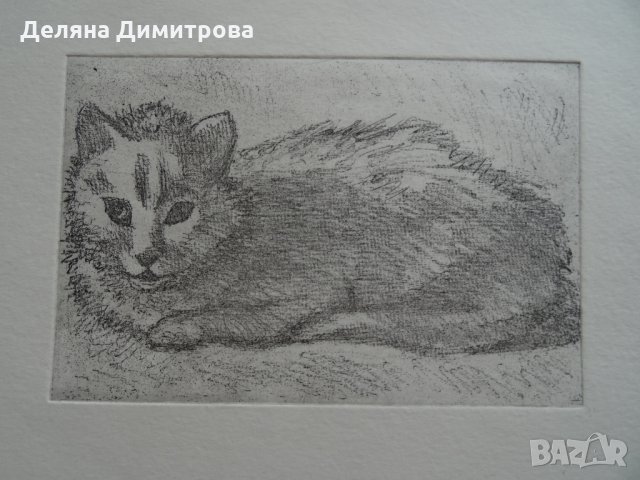 Разпродажба спешно! Авторски Графики Уникати!, 64,99 лв, снимка 11 - Картини - 31812758