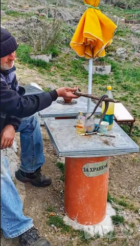 продавам змий пепелянки и усойници, снимка 2 - Змии - 53331584