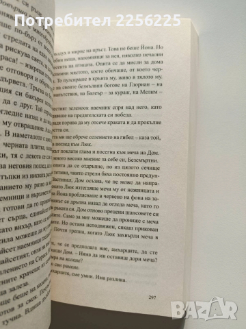 Унищожителят на меча, снимка 3 - Художествена литература - 53948312