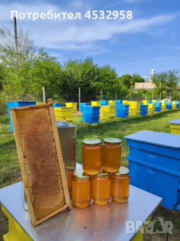 Пчелен мед, реколта 2026, букет, снимка 5 - Пчелни продукти - 56436855