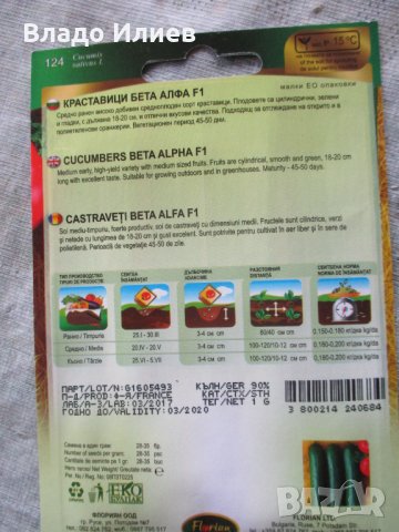 Семена за магданоз,краставици и фасул неразпечатани опаковки, снимка 9 - Сортови семена и луковици - 35184139