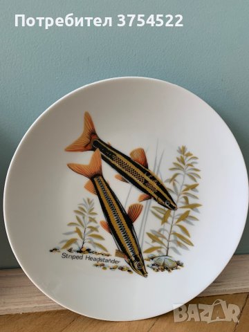 Чинии с риби за закачане , снимка 6 - Декорация за дома - 42808986