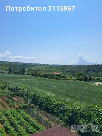 Панорамен парцел в с.Рилци общ.Благоевград, снимка 2 - Парцели - 52489805