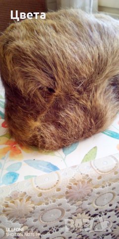 Шапка от естествен косъм нутрия, снимка 2 - Шапки - 30650603