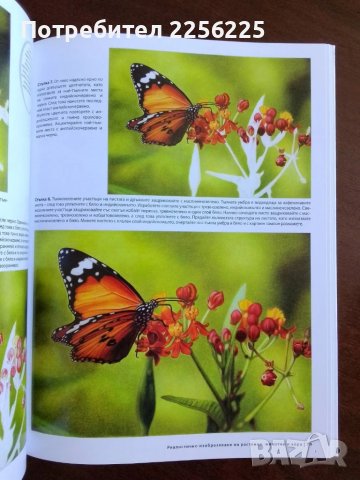 Изкуството да рисуваш в цвят, снимка 4 - Специализирана литература - 50694818