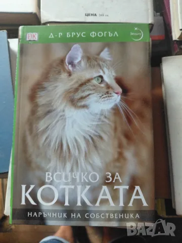Всичко за котката