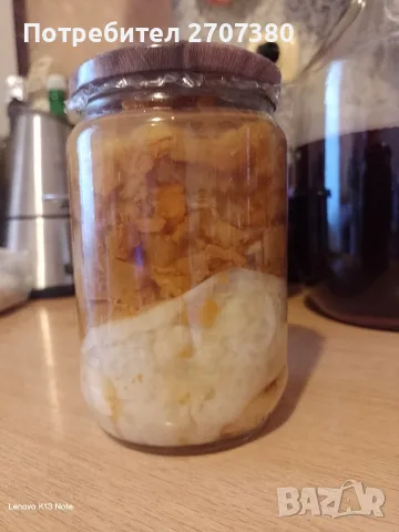 Оцет с оцетна гъба
