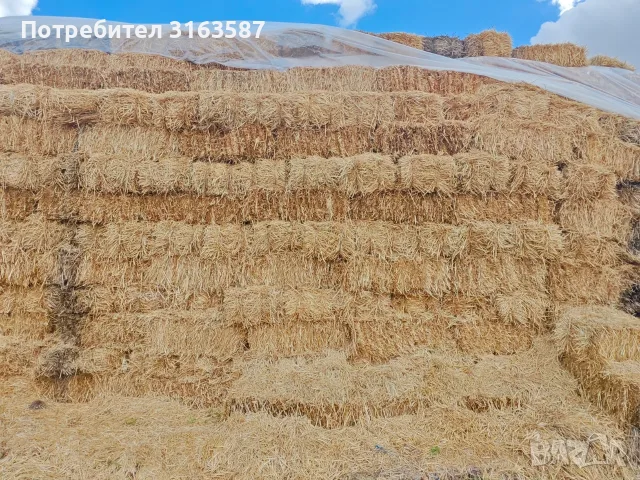 Бали сено и слама, снимка 6 - За селскостопански - 56466338