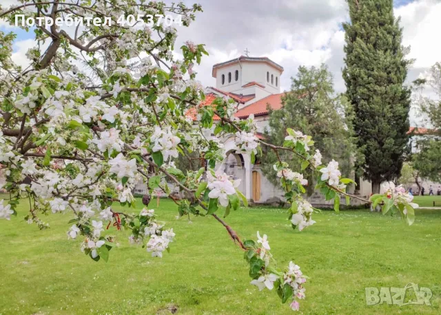 Фотографиите/красотите на България🌸🌲🏞️💞, снимка 11 - Картини - 47567429