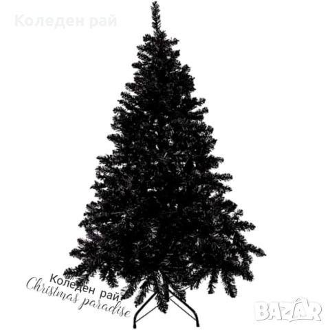 Черна елха Енигма с тънък клон 