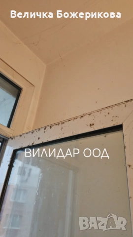 Почистване на домове, снимка 12 - Почистване на домове - 52566889