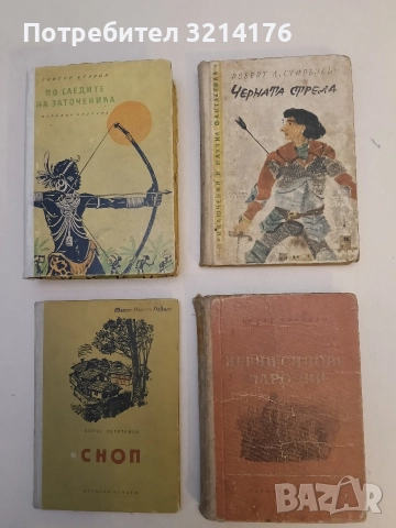 Черната стрела. История за двете рози - Робърт Луис Стивънсън