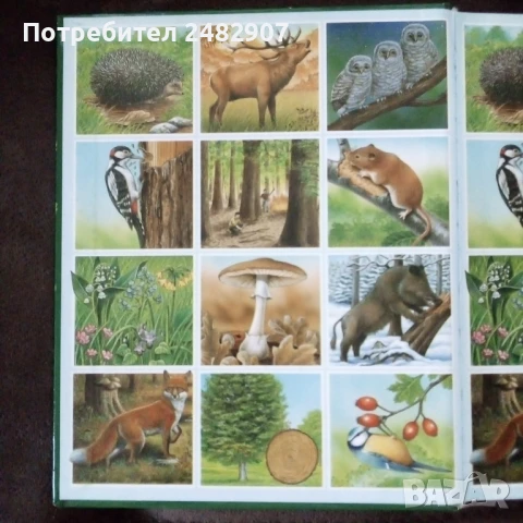 "Енциклопедия на гората" , снимка 3 - Енциклопедии, справочници - 50999235