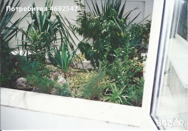 МАГАЗИН/ОФИС ДО НДК, снимка 9 - Магазини - 52900542