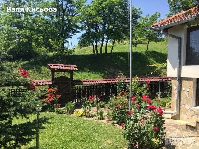 на почивка в гр. Елена, къща за гости с джакузи , снимка 12 - Почивки на планина - 13527702