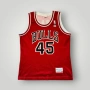 1995 Champion Chicago Bulls Jordan #45 NBA Jersey, снимка 1