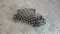 Реостат Mercedes E W210 1999 A2108211551 9140010309 53201 Mercedes-Benz E-Class 210 (W/S), снимка 3