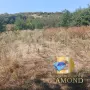Парцел в село Гарваново, обл. Хасково, снимка 4