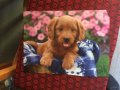 Плакат кученце , снимка 1 - Детски книжки - 29279864