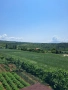 Панорамен парцел в с.Рилци общ.Благоевград, снимка 2