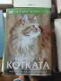 Всичко за котката, снимка 1