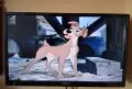 Видеокасета VHS Лейди и Скитника , снимка 5