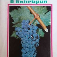 Нови сортове лози създадени в България- Здравко Занков, снимка 1 - Специализирана литература - 34953180