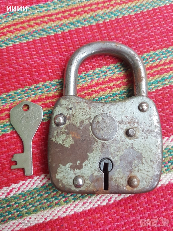 Полски катинар, снимка 1