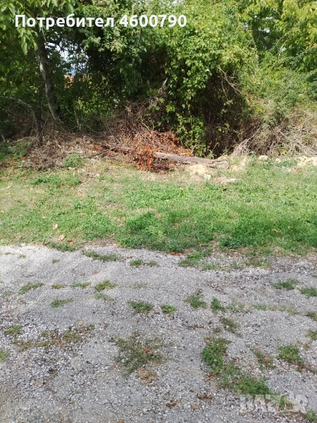 Дворно място в село Кладни дял, кметство Войнежа, община Велико Търново, снимка 1