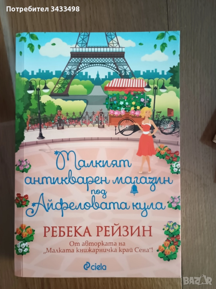 Ребека Рейзин роман , снимка 1