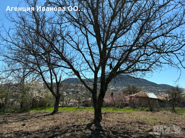 Парцел с къща в гр. Опака – 1590 кв.м с отлична локация и потенциал, снимка 4 - Къщи - 54131995