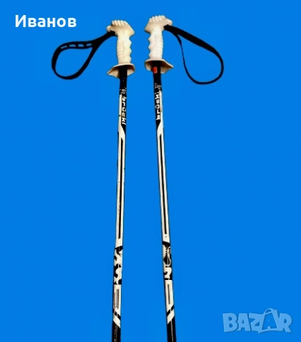 Алпийски Ски Щеки - Brückl - 110см.