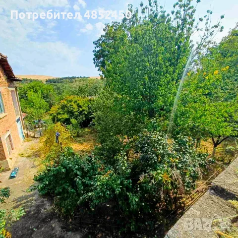 Продавам първия етаж от къща в с. Бръшляница | 80 кв.м + двор 1710 кв.м  11 990 €, снимка 5 - Къщи - 56078326