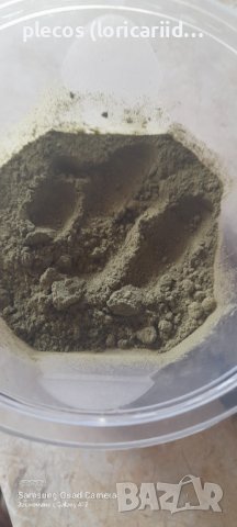 Храна за новоизлюпени рибки