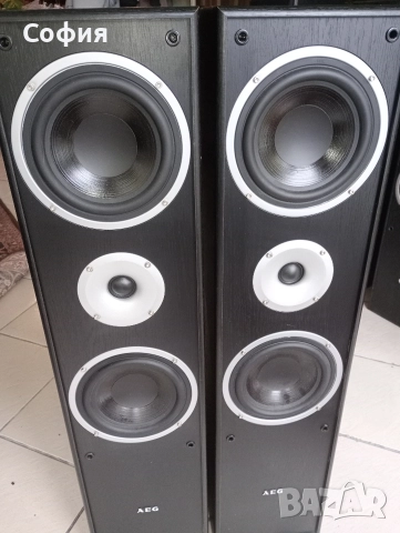 немски качествени колони АЕG 300w