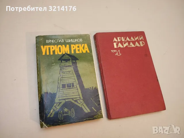 Угрюм река. Книга 1 - Вячеслав Шишков
