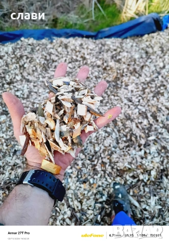 Дървесен чипс / Мулч / Черница 