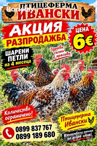 Петли 4 месеца  Ивански