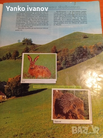 Спасете застрашените животни, снимка 2 - Филателия - 53964540