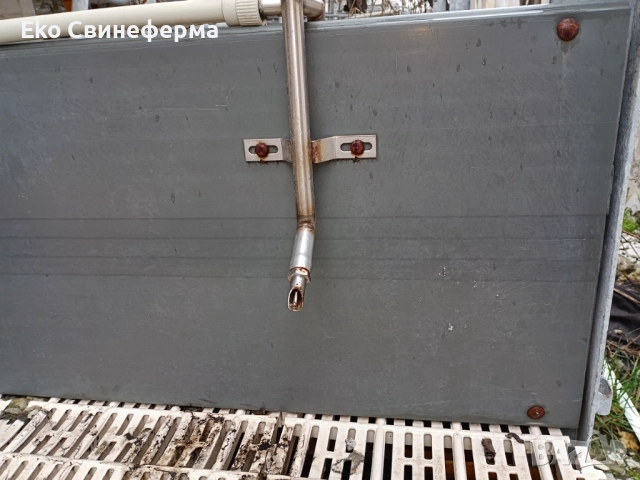 Повдигнат бокс свине майки лактиращи/млекарски/ - раждане и бозайници. , снимка 5 - Прасета - 51878042