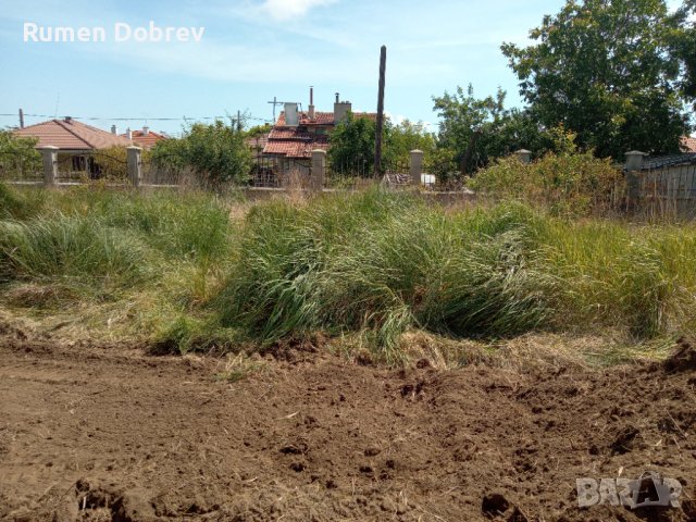 Професионално почистване на всякакви буренясали парцели, градини и къщи, дворове и всякакви други пл, снимка 3 - Други услуги - 32455705