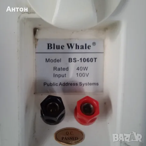 Тонколони Blue Whale-BS-1060T, снимка 13 - Тонколони - 47481847