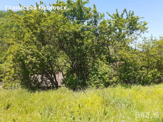 Продавам дворно място в село Лява Река, снимка 5 - Парцели - 51464880