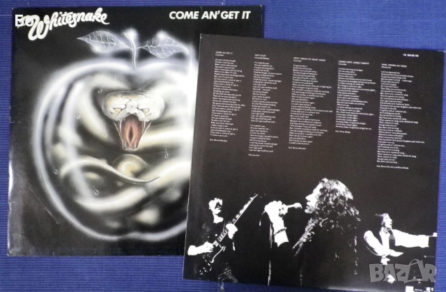 грамофонни плочи WhiteSnake , снимка 4 - Грамофонни плочи - 52474021