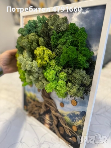 Ръчно изработени картини със скандинавски мъх, снимка 13 - Декорация за дома - 54140265