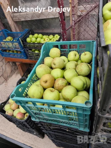 Круши, Ябълки,Мед и Сокове , снимка 9 - Домашни продукти - 56258345