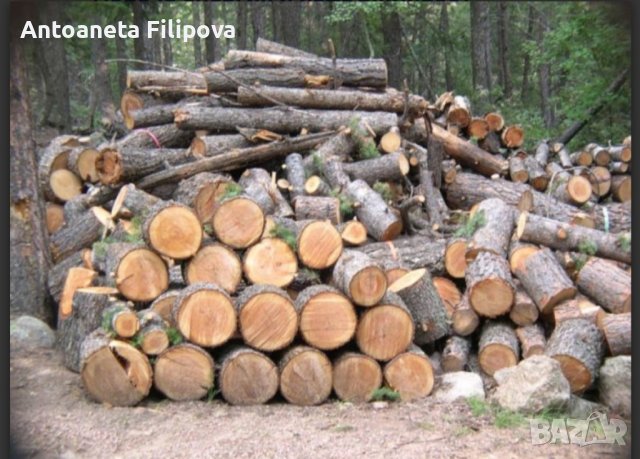 дърва за огрев дъб,бук,цер и габър, снимка 6 - Дърва за огрев - 42774155