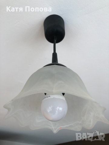 продавам единични полилеи