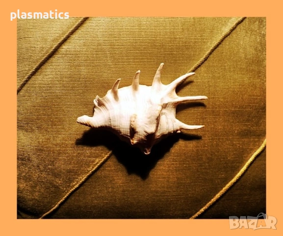 ключодържател кукличка / морска раковина, снимка 10 - Кукли - 46914612